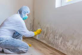 Best Emergency Mold Remediation  in West Modesto, CA