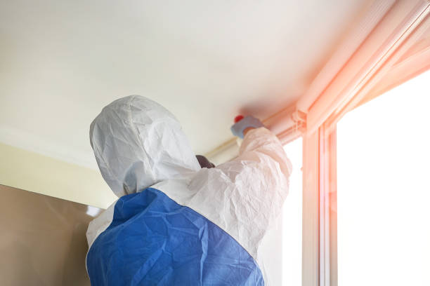 Reliable West Modesto, CA Mold Removal & Remediation Solutions