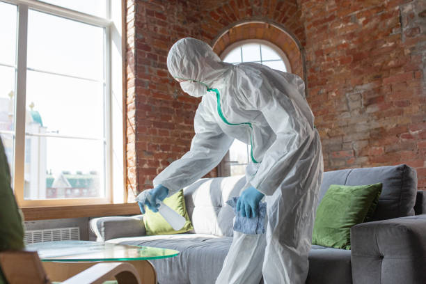 Best Industrial Mold Remediation  in West Modesto, CA