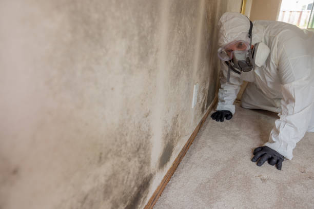 Best Mold Removal for HVAC Installations  in West Modesto, CA